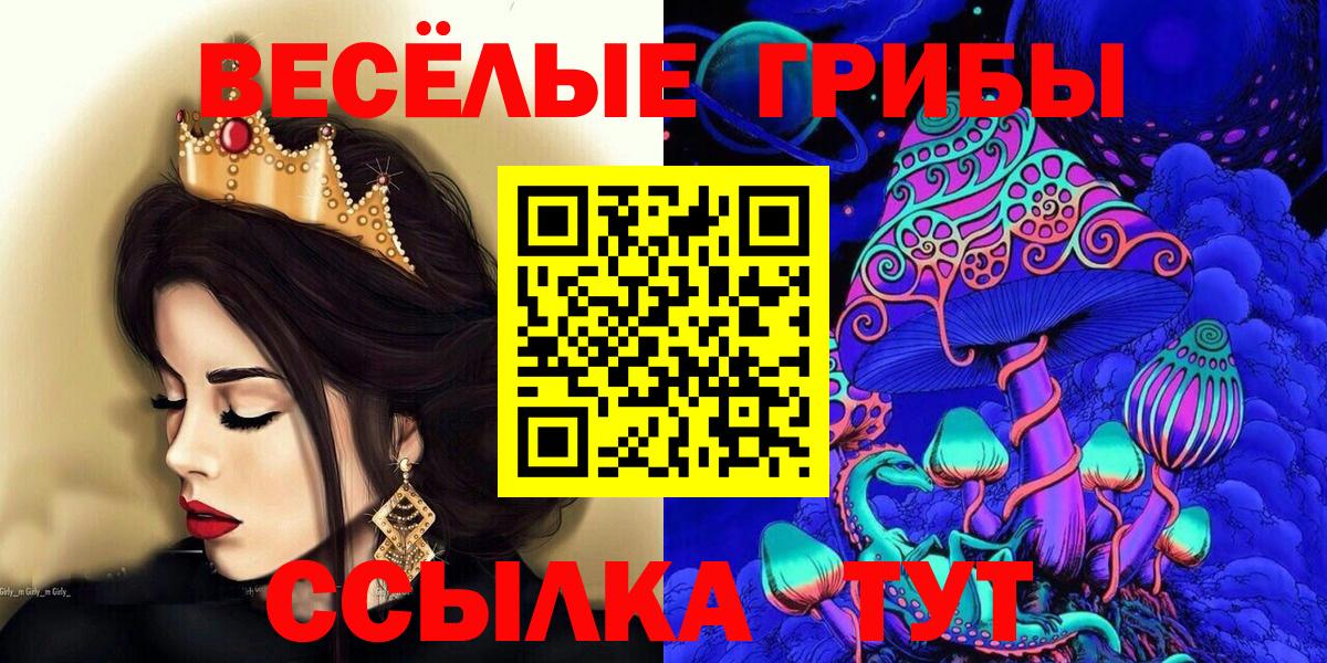 Псилоцибиновые грибы GOLDEN TEACHER Рассказово